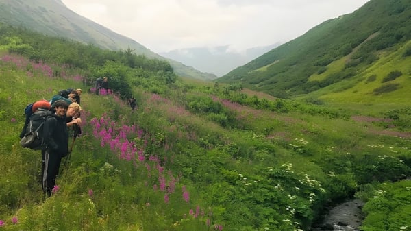 Un grupo de estudiantes del Abbey College camina a través de un valle verde con flores silvestres y rodeado de altas montañas.