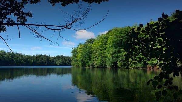 Un lago tranquilo con vegetación exuberante y cielo azul cerca de la Alexander Mackenzie High School.