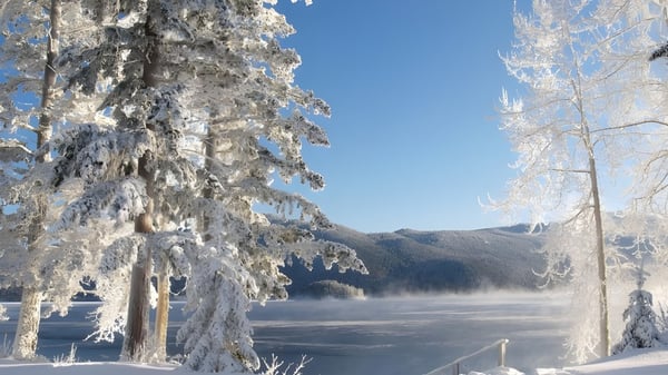 Un paisaje invernal nevado con un lago congelado y árboles cubiertos de nieve cerca de la All Saints Catholic Secondary School.
