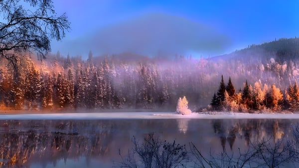 Un lago tranquilo con árboles cubiertos de nieve en un paisaje neblinoso cerca de la Almonte & District High School.