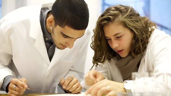 Dos personas en el Ashbourne College investigan juntas un objeto en un entorno profesional.