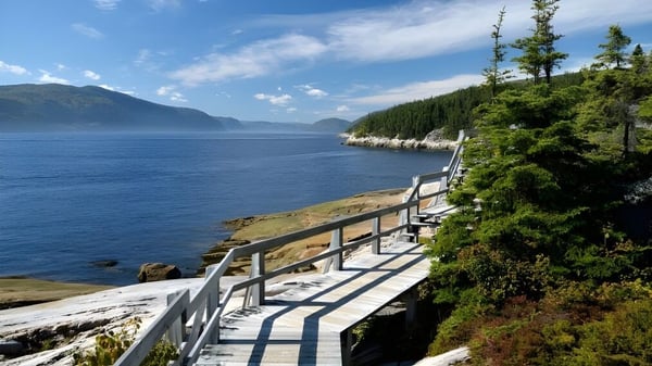 Un sendero costero con rocas y árboles perennes en el terreno del Ashbury College bajo un cielo azul.