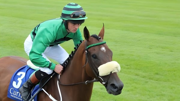 Un jinete con un traje a rayas verde y blanco monta un caballo marrón en la pista de carreras del Athy College.