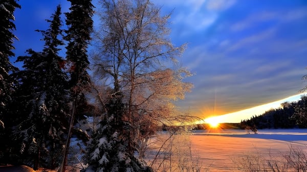 Paisaje invernal nevado con un lago congelado y árboles desnudos al atardecer en los alrededores del Baccalieu Collegiate.