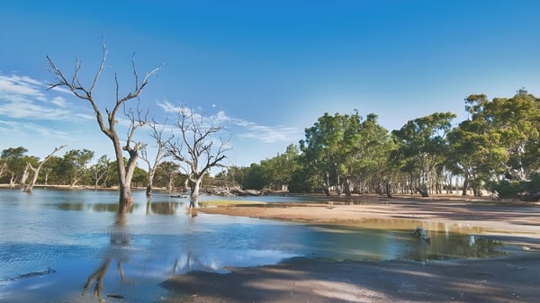 Un lago tranquilo con árboles desnudos en el agua y un bosque al fondo cerca de la Balcatta Senior High School.