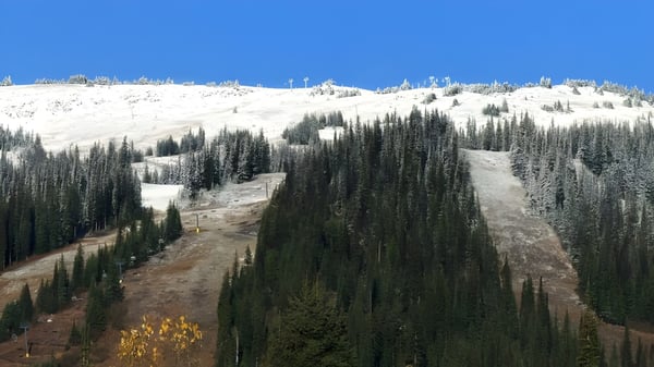 Una montaña nevada con un bosque de árboles perennes frente al campus de la Ballenas Secondary School.