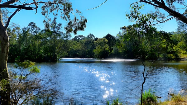 Un lago tranquilo con árboles verdes y cielo azul en los alrededores de la Banksia Park International High School.
