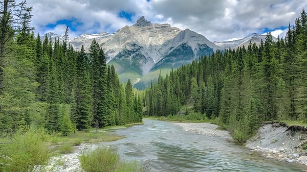 Un río sinuoso fluye a través de un valle verde con laderas boscosas frente a montañas nevadas en el terreno de la Belmont Secondary School.