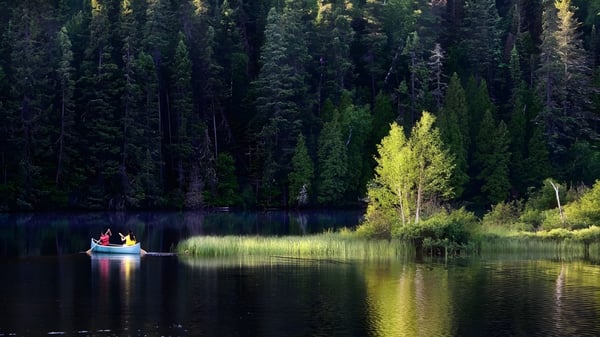Un pequeño bote se encuentra en un lago tranquilo cerca de un bosque en el terreno de la Beurling Academy.