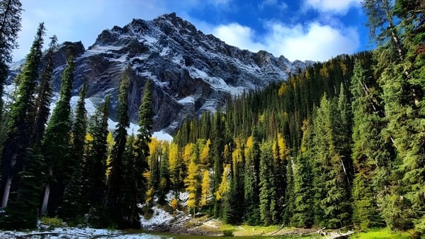 Una impresionante imagen natural con montañas cubiertas de nieve y un bosque mixto frente a la Brant Christian School.