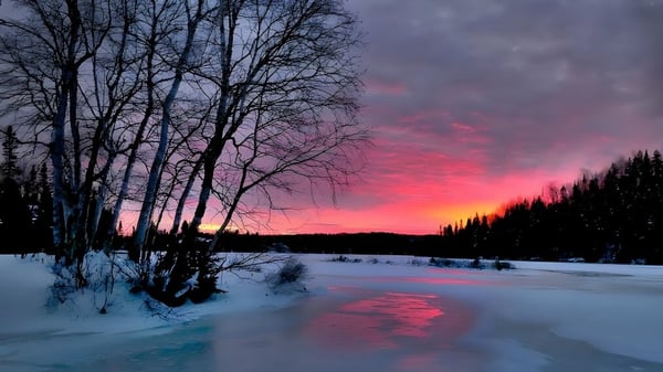 Un lago congelado con árboles desnudos refleja el colorido atardecer en el terreno del Brockville Collegiate Institute.