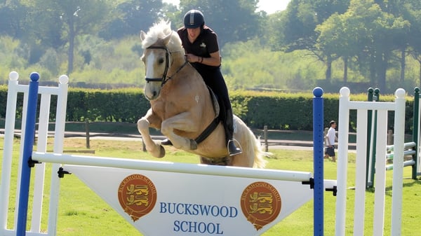 Un estudiante de la Buckswood School monta un caballo claro sobre un salto en una instalación exterior cercada.