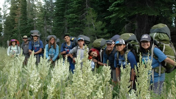 Estudiantes de la Buckswood School están con equipo de senderismo en un campo con hierba alta frente a un denso bosque.