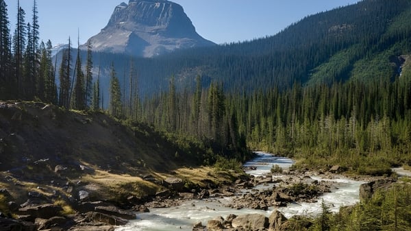 Un paisaje montañoso boscoso con un arroyo fluyendo frente a montañas cubiertas de nieve en la Capilano University.