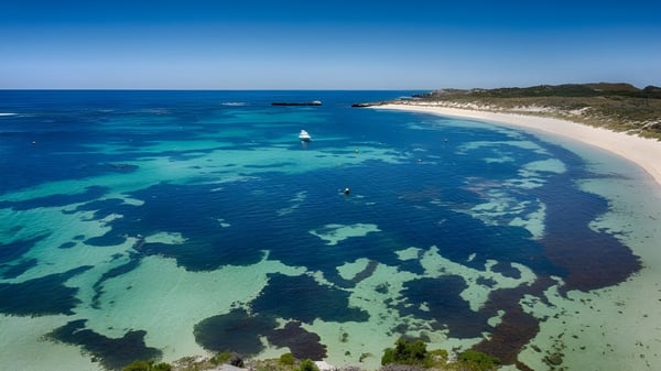 Toma aérea de una playa con agua turquesa clara cerca de la Carine Senior High School.