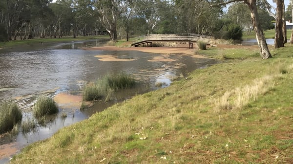 Un arroyo tranquilo con un puente de madera y áreas ribereñas cubiertas de hierba en el terreno de la Cavendish Road State High School.