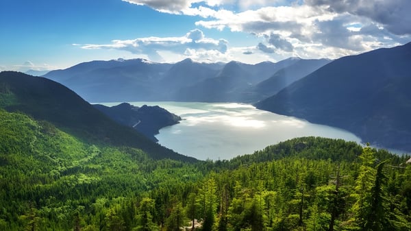 Un bosque verde en primer plano y un lago con montañas cubiertas de nieve son visibles.