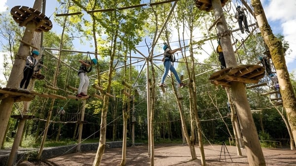 Una estudiante de la Christian Brothers School Kilkenny se mueve en un parque de cuerdas altas rodeada de árboles.