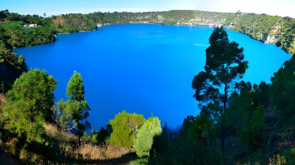 Un lago azul brillante rodeado de bosques verdes en el terreno de Clare High School.