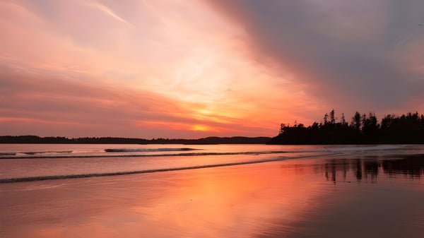 Atardecer sobre la tranquila playa cerca de la Claremont Secondary School con agua reflejante y siluetas de árboles.