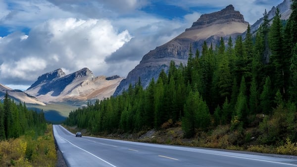 Una carretera sinuosa atraviesa un paisaje boscoso con montañas nevadas al fondo cerca de Coalhurst High School.