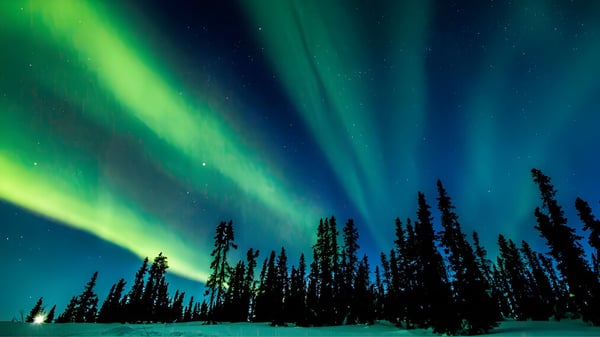 Las auroras brillan sobre un bosque de coníferas cerca de la Creston Valley Secondary School.