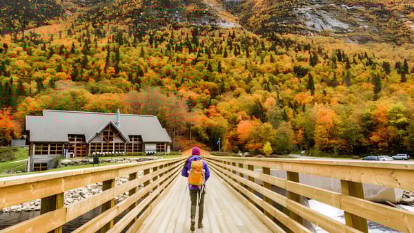 Un muelle de madera atraviesa un valle con colorido otoñal en el terreno de la Crowsnest Consolidated High School.