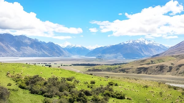 Una pradera verde con montañas nevadas al fondo en el terreno de la Darfield High School.
