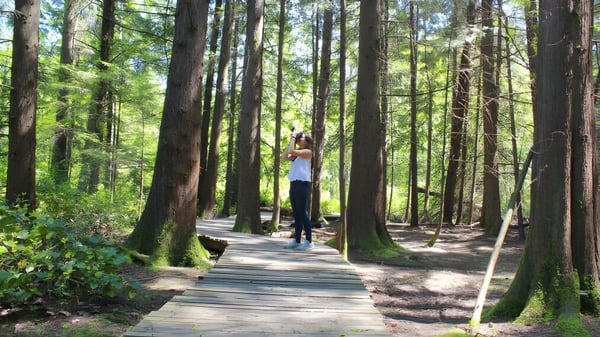Una persona camina por un camino de madera a través de un bosque verde en el terreno de la Delta Secondary School.
