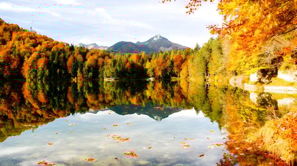 Un tranquilo lago de montaña con colores otoñales y reflejos de montañas cerca de la Dr. Elliott School.