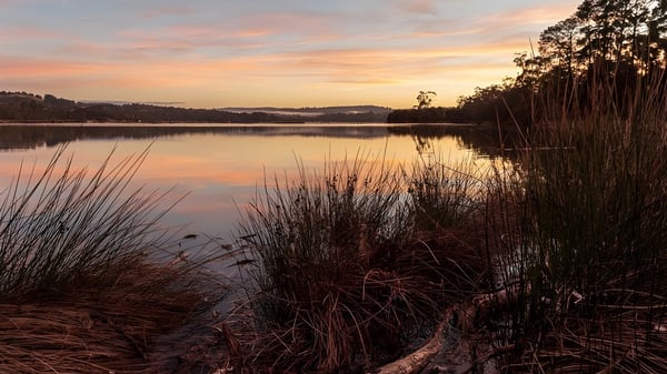 El tranquilo lago con vegetación circundante refleja el atardecer y se encuentra en el terreno del Earnshaw State College.