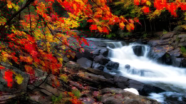 Una cascada fluye a través de un paisaje otoñal con hojas de colores en el terreno de la École Marie-Esther.