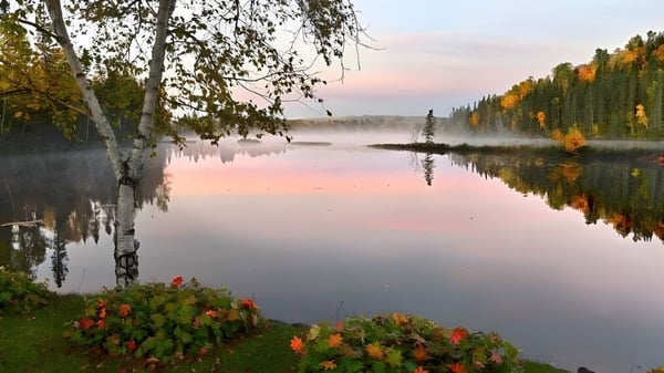 Un lago otoñal con árboles coloridos y una pequeña isla frente a la École Mathieu-Martin.