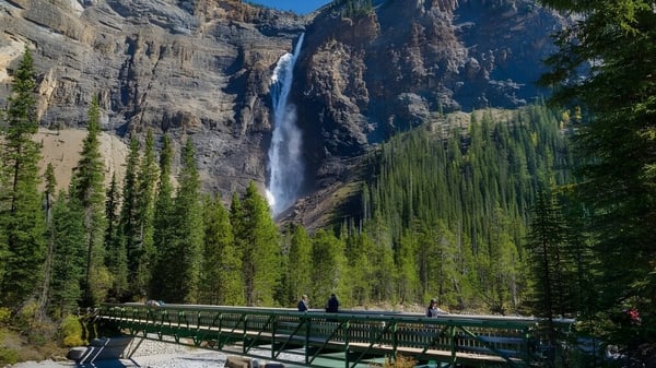Una cascada fluye por un acantilado alto con vegetación verde y un puente de madera en primer plano en el terreno de Elwood Regional High.