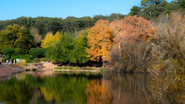 Un tranquilo lago rodeado de follaje otoñal se puede ver cerca de Findon High School.