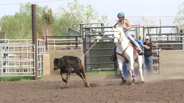 Una persona monta un caballo blanco y persigue a un animal marrón en una arena en el terreno de la Foremost School.