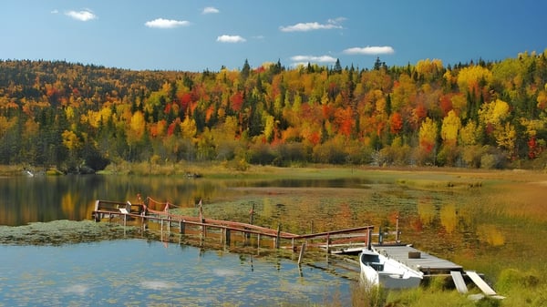 Un lago tranquilo con un bosque otoñal y un muelle muestra el paisaje natural cerca de la Fraser Heights Secondary School.