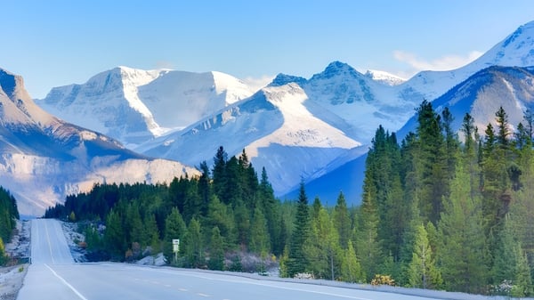 Una carretera sinuosa atraviesa un bosque perenne con montañas cubiertas de nieve al fondo en el terreno de la Fulford Academy.