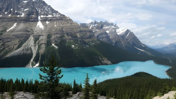 Un lago turquesa con montañas nevadas al fondo y bosques verdes en primer plano cerca de Gander Collegiate.