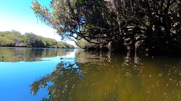 Un lago tranquilo con árboles colgantes cerca del Gawler and District College.