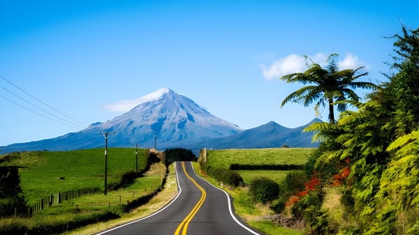 Una carretera sinuosa atraviesa un paisaje verde con una montaña nevada y una palma en primer plano cerca de la Geraldine High School.