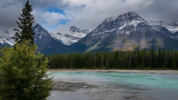 Un tranquilo paisaje montano con un río color turquesa y picos cubiertos de nieve al fondo.