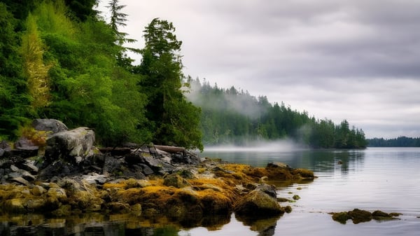 Un tranquilo lago con densa vegetación y costa rocosa cerca de la Grandview Heights Secondary School.