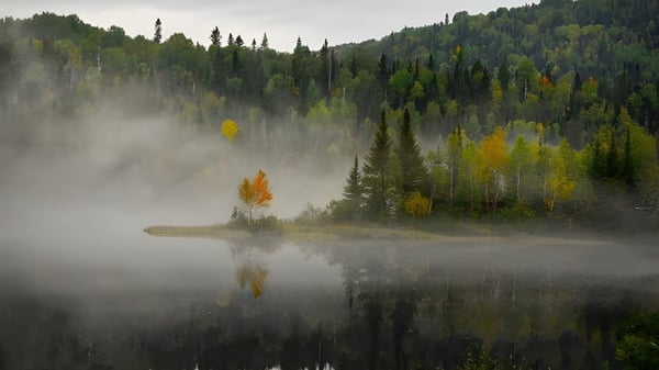 Un lago tranquilo con un bosque mixto circundante cerca de la Gravenhurst High School en un día nublado.