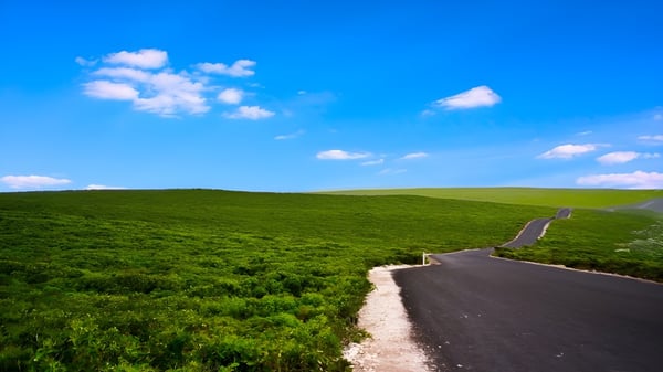 Una carretera sinuosa atraviesa un paisaje verde y montañoso bajo un cielo azul en el terreno de la Hallett Cove School.