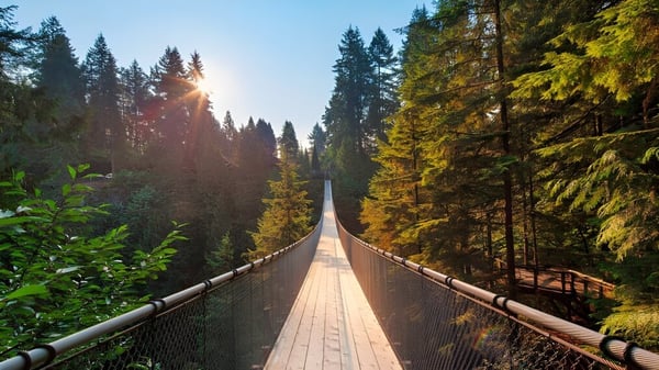 Un largo puente colgante de madera cruza un valle boscoso en el terreno de la Handsworth Secondary School.