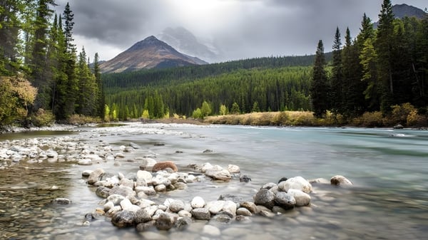 Un arroyo de montaña fluye a través de un valle boscoso cerca de la Hay Lakes School.