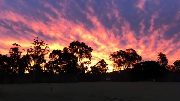 Un atardecer colorido con nubes naranjas y rosas sobre árboles en el terreno de la Helensvale State High School.
