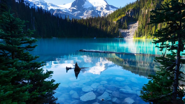 El lago alpino con montañas cubiertas de nieve y un bosque verde frente a la H.J. Cambie Secondary School.