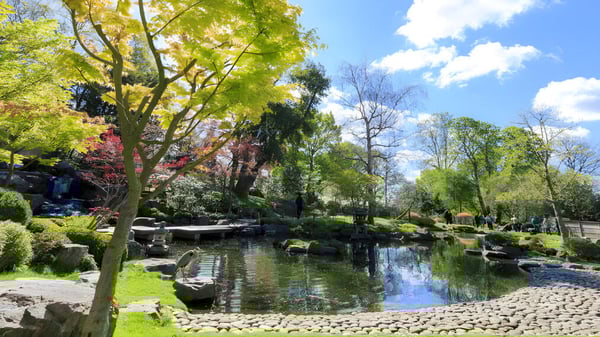 El tranquilo jardín con estanque y abundante vegetación en el terreno de la Holland Park State High School.